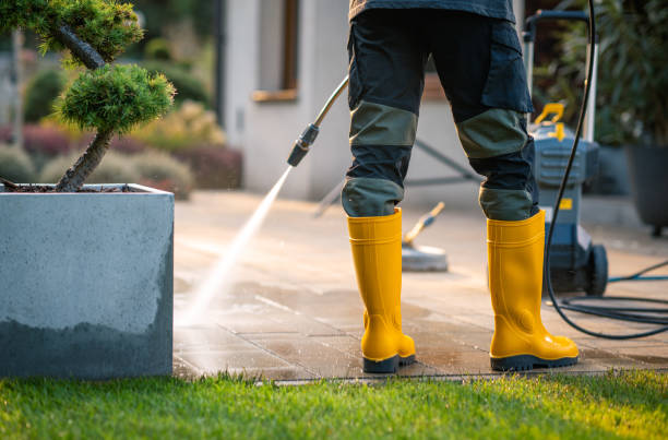 Best Exterior Home Cleaning  in Mound, MN